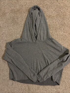 Brandy Melville Heather Gray Cropped Hooded Sweatshirt